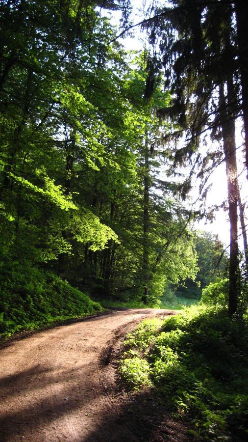 Gaestezimmer Waldblick Wimbach Eksteriør billede
