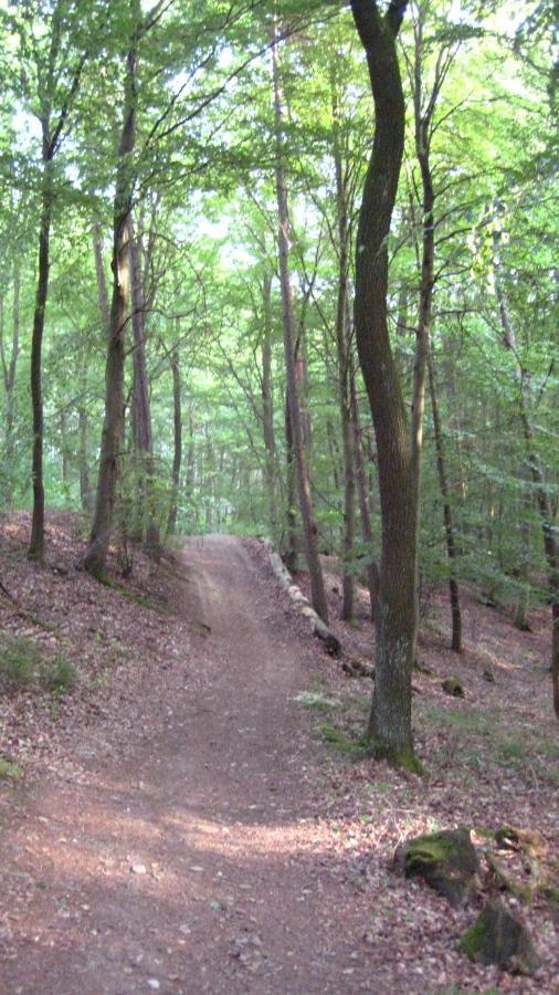 Gaestezimmer Waldblick Wimbach Eksteriør billede