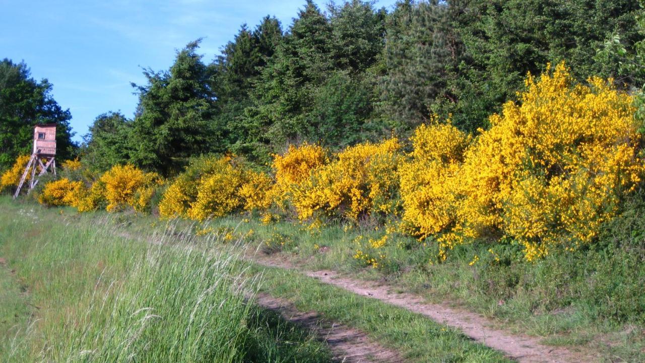 Gaestezimmer Waldblick Wimbach Eksteriør billede
